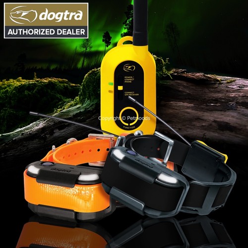 Dogtra pathfinder2 collare gps - dogtra,
