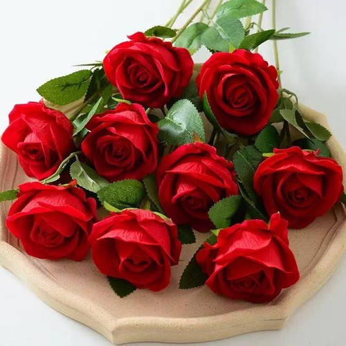 20x rose rosse fiori - 3-20x,