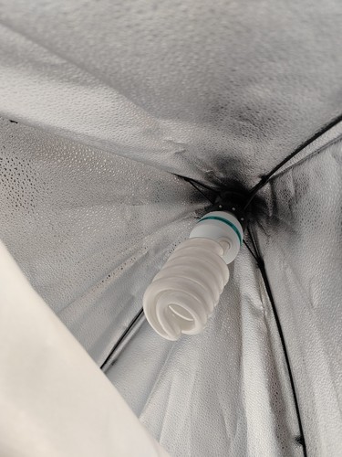 Coppia soft box con stativi - soft,