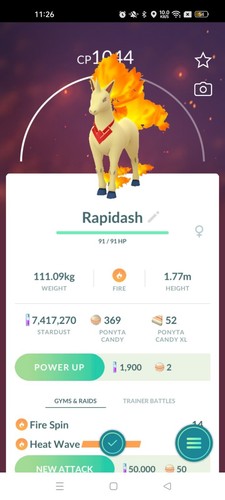 Rapidash accessorio tema - rapidash, a