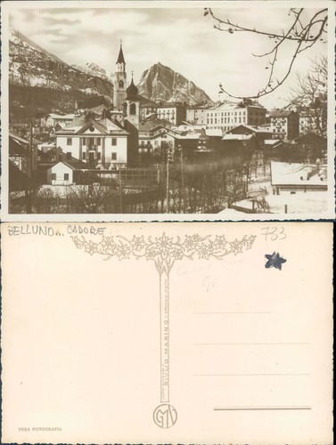 Cadore bellissimo primo piano - cadore,bellissimo,