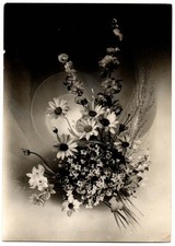 Cartolina 1954. Composizione di fiori. Viaggiata