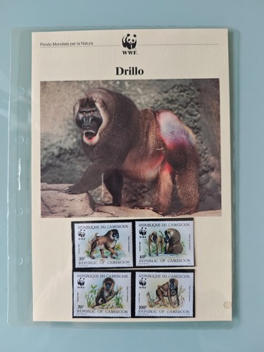 Wwf bolaffi drillo camerum - bolaffi,