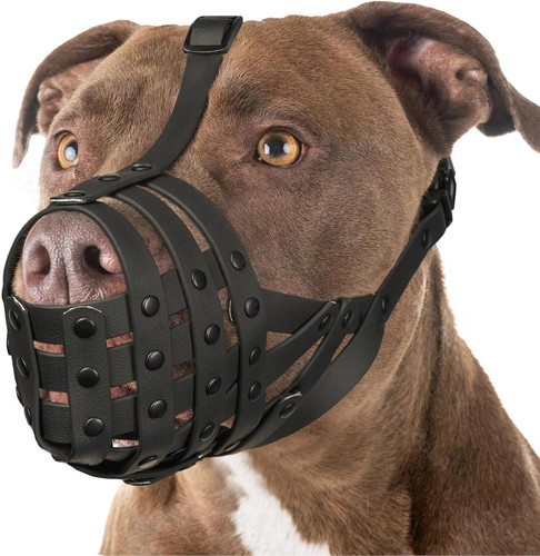 Pitbull museruola per cani - pitbull,