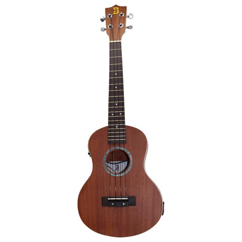 Bryce ukulele concerto - ukulele,
