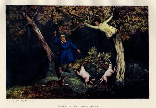 1899 stampa antica colori - stampa,