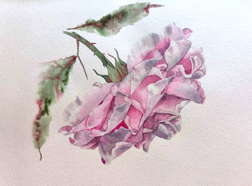 Iperrealismo fiore rosa - rosa,