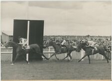 Il Prezzo Di Diane. Corsa