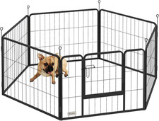 Recinto per Cani Di Piccola