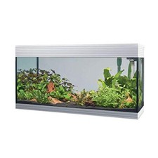 Askoll Aa350052 Pure Aquarium