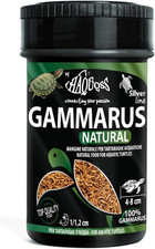 Gammarus Mangime Naturale in