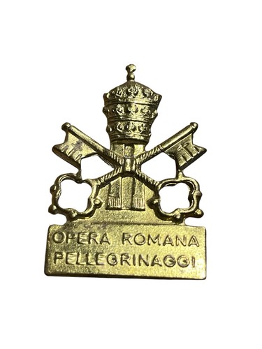 Distintivo pin spilla - distintivo,