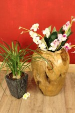 Vaso radica teak - in, fiori