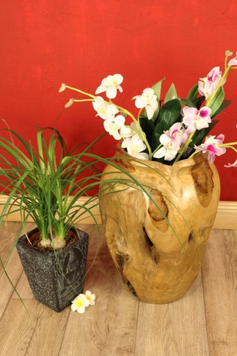 Teak radica vaso fiori secchi - vaso,
