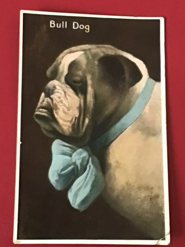 Early 1900s dog - dog, themed