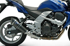 SCARICO TERMINALE TERMIGNONI