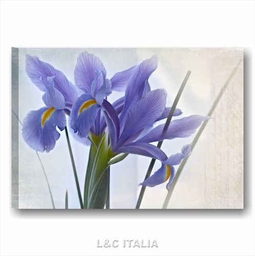 Fiori vintage quadro - fiori,