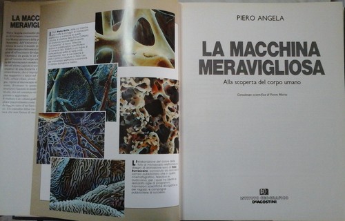 Macchina meravigliosa alla - macchina, meravigliosa.