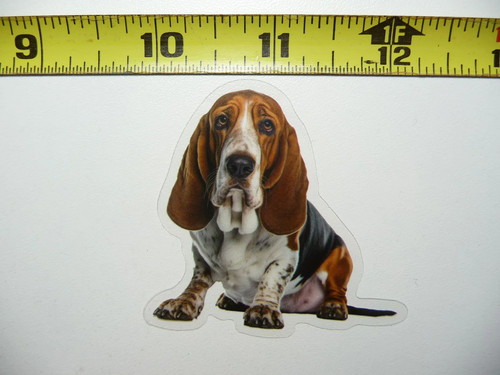 Bassett hound cane - bassett,