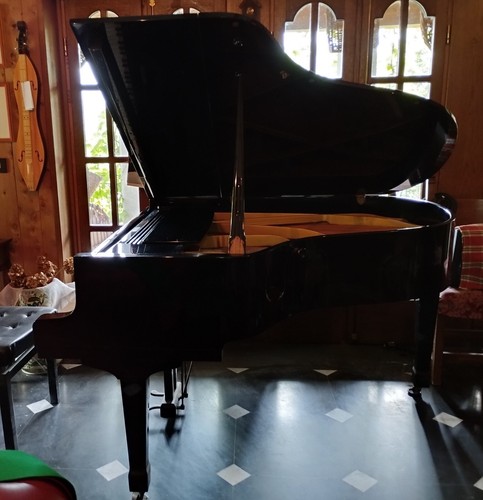 Pianoforte coda august - pianoforte,