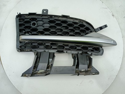 Griglia jaguar paraurti - griglia,