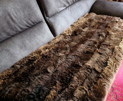 Vero agnello tapppeto letto - agnello, di