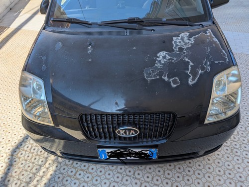 Cofano motore kia picanto - kia,