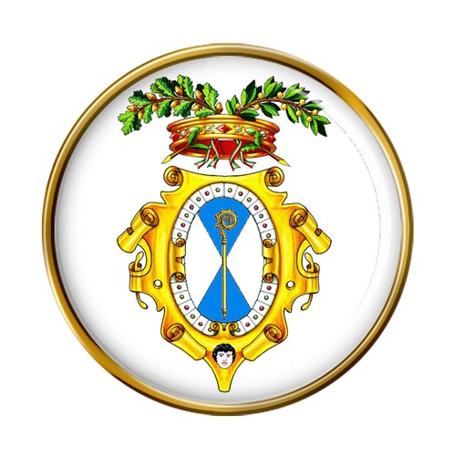 Distintivo spilla provincia - provincia, di