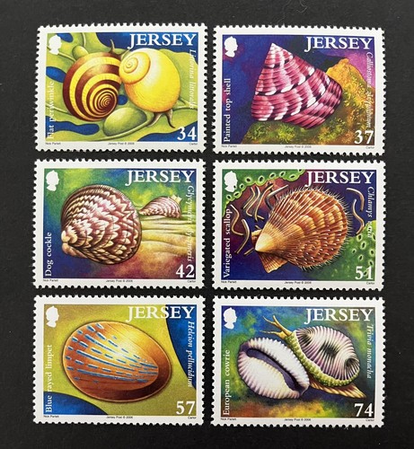 Maglia 2006 mnh marine - marine, life