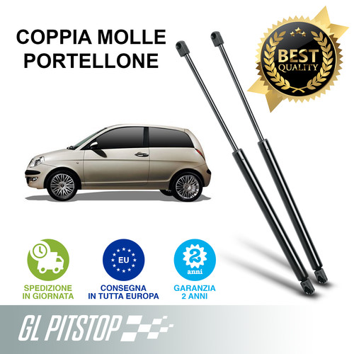 Pistoni portellone coppia - pistoni, portellone,