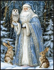 Babbo Natale Artico 14 -