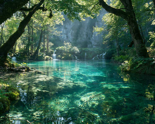 Piscina foresta turchese con - foresta,
