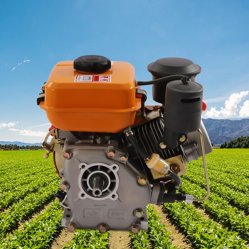 Motore diesel tempi 3hp - tempi,