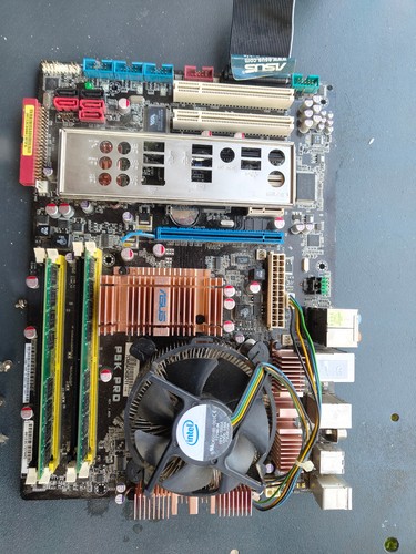Scheda madre asus pro - madre,