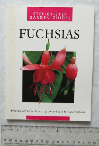 1995 fuchsias step - 1995, fuchsias,