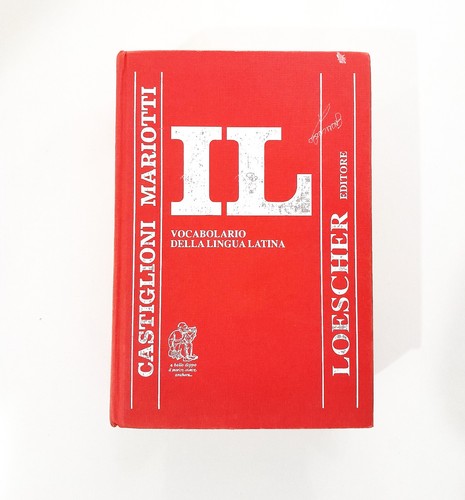 Vocabolario della lingua - vocabolario,