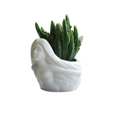  Vasetti Per Fiori Pianta