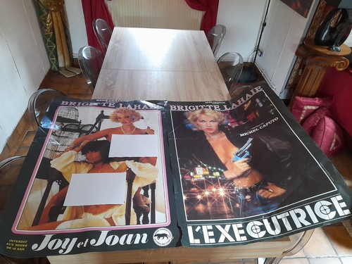 Affich rare brigitte lahaie - affich,