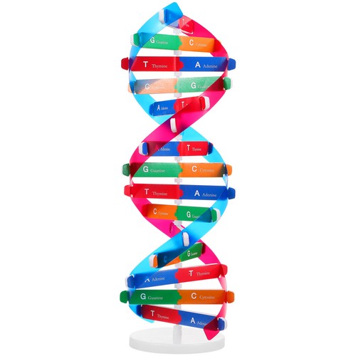 Doppia elica dna modello - elica,