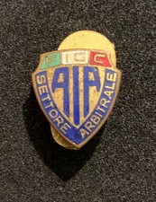 FIGC DISTINTIVO CALCIO PIN