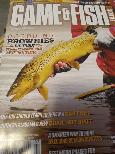 Game fish decoding brownies - &,