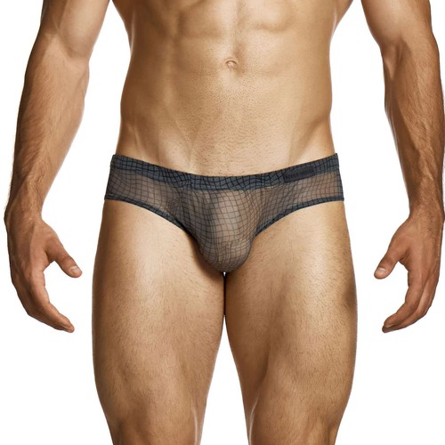 Modus vivendi abstract net - vivendi,