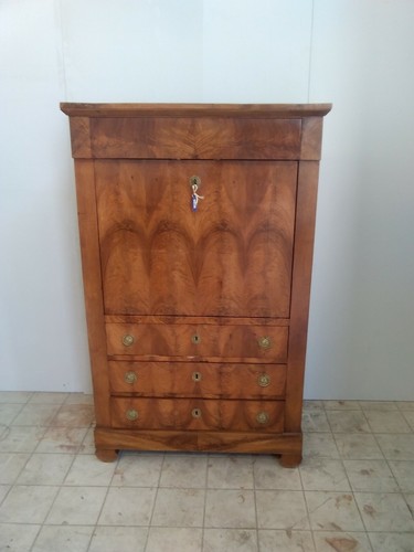 Segreter direttorio - ,