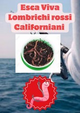 Esca Viva 40 Lombrichi Rossi