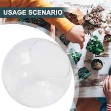 Celebrazione Pallina di Natale