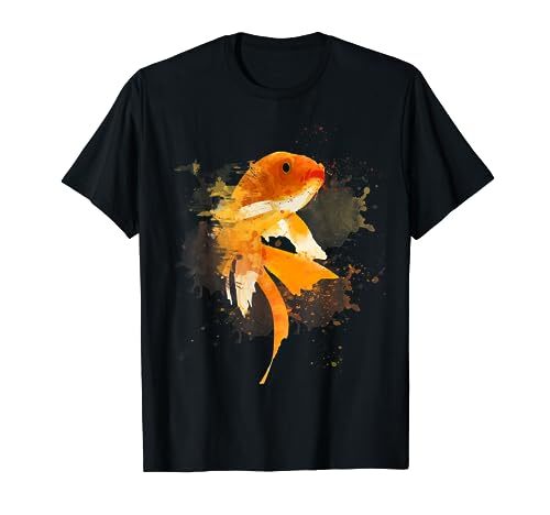 Koi goldfish amanti delle - koi,