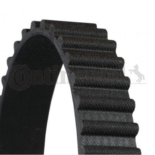 Cinghia distribuzione - cinghia,