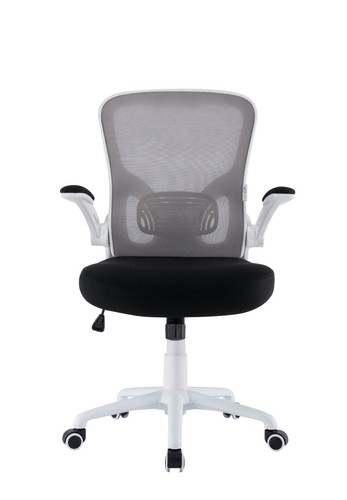 Sedia ufficio ergonomica - sedia,