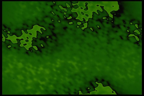 530081 stampa texture - 530081,