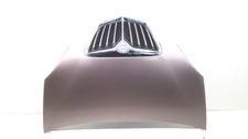COFANO ANTERIORE PER LANCIA